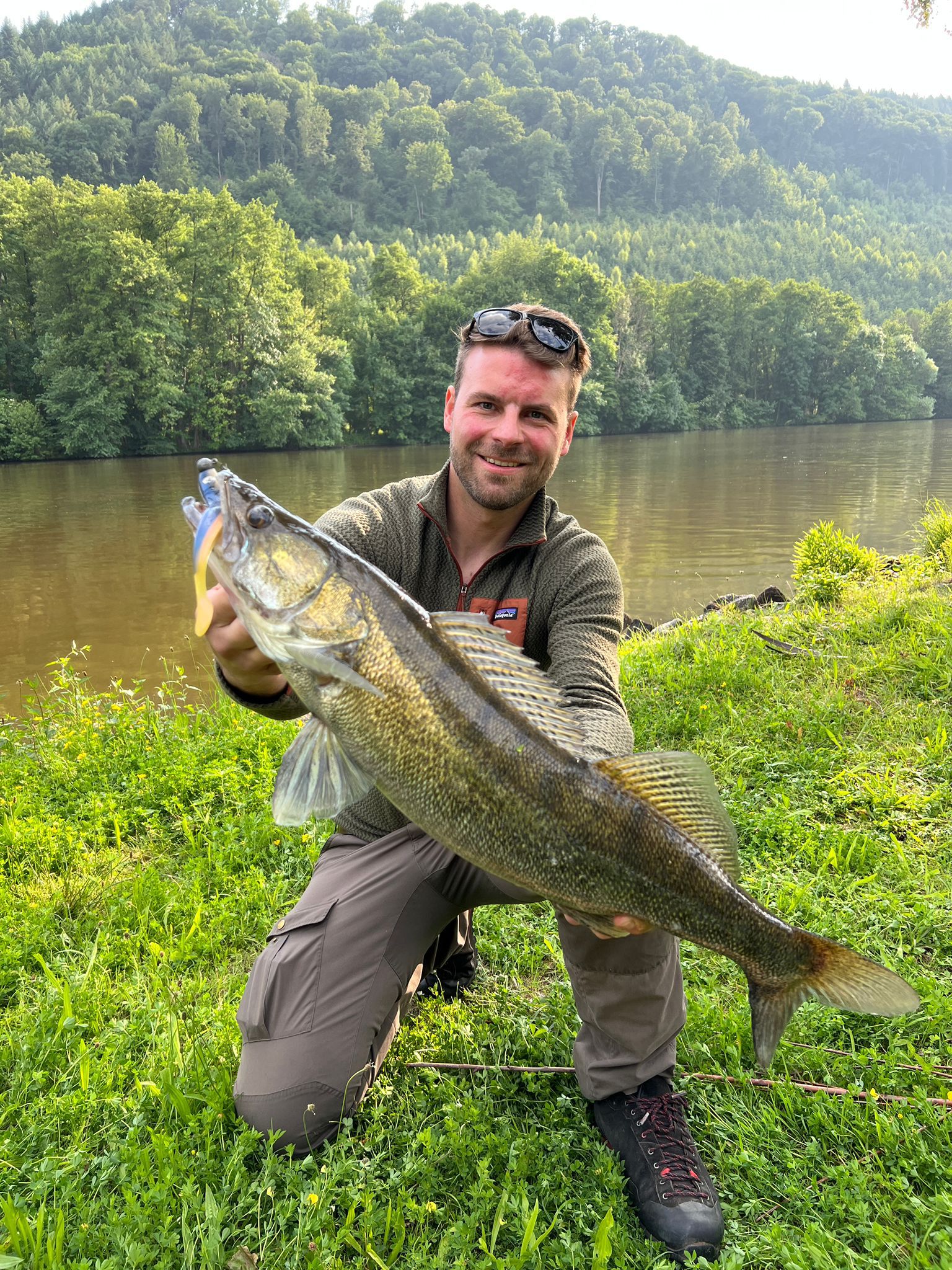 Zander-Fang von René am Main – Zander Coaching Erfolg