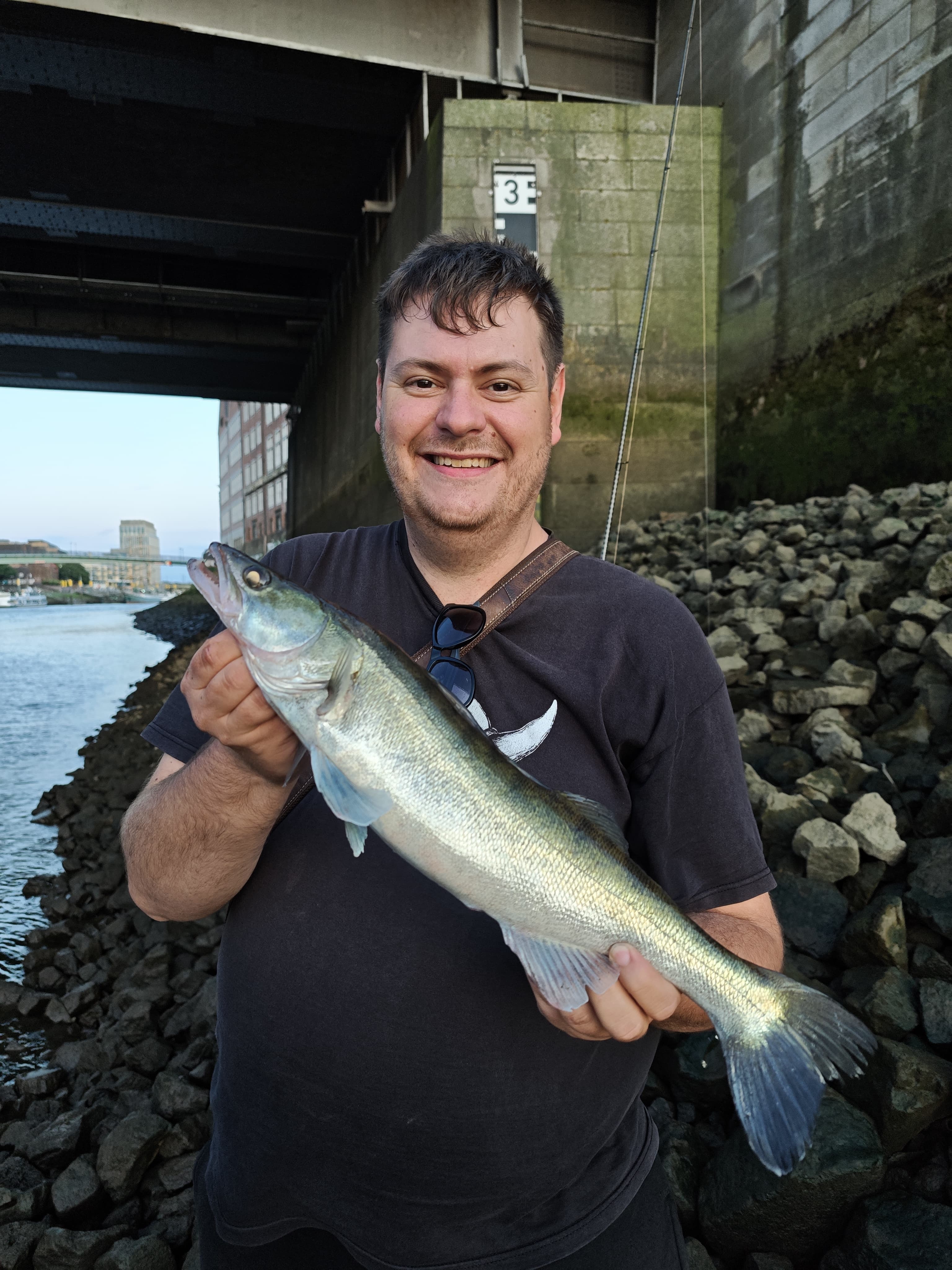 Zander-Fang von David an der Weser – Zander Coaching Erfolg