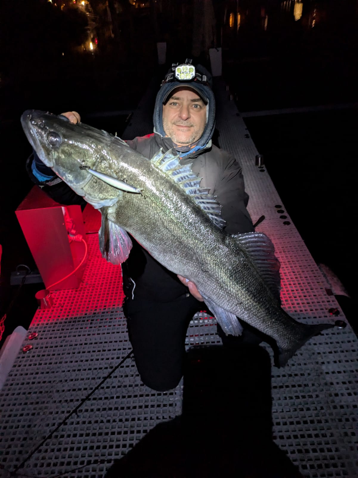 Zander-Fang von Ingo am Bodensee – Zander Coaching Erfolg