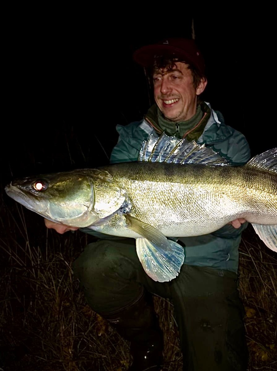 Zander-Fang von Philipp an der Elbe – Zander Coaching Erfolg