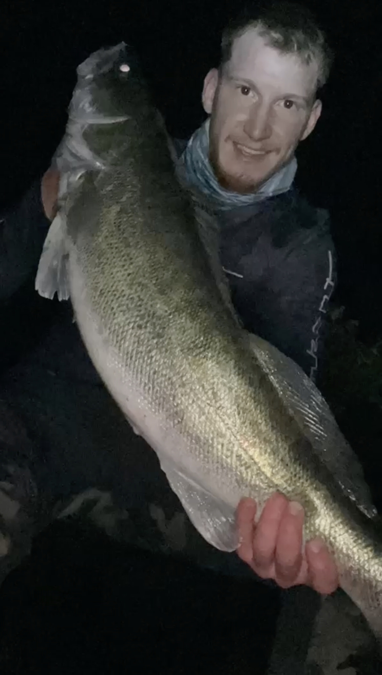 Zander-Fang von Alex an der Donau – Zander Coaching Erfolg