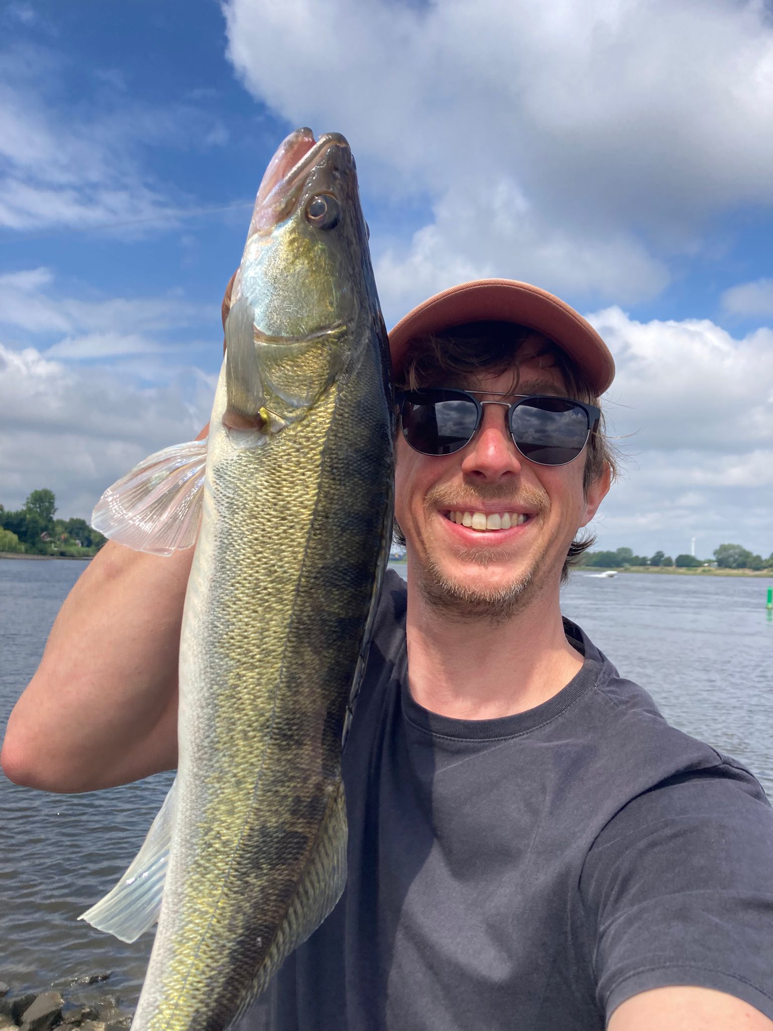 Zander-Fang von Philipp an der Elbe – Zander Coaching Erfolg